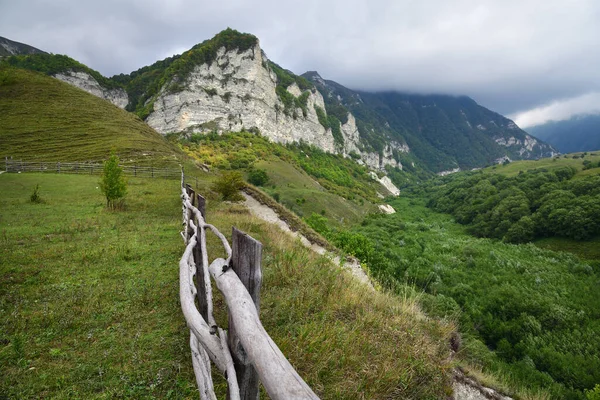 Prado Alpino Cáucaso Montanhas Chechênia Rússia Distrito Vedeno República Chechénia — Fotografia de Stock