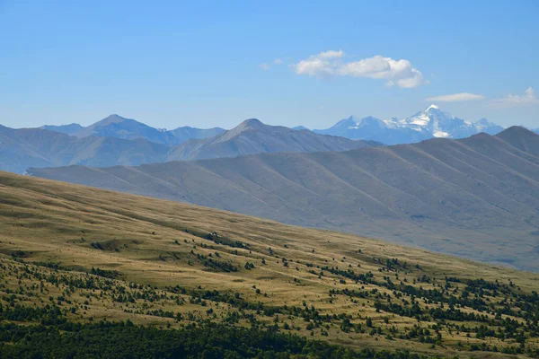 Αλπικό Τοπίο Λιβαδιών Και Βουνών Καυκάσου Στην Τσετσενία Ρωσία Kazenoy — Φωτογραφία Αρχείου