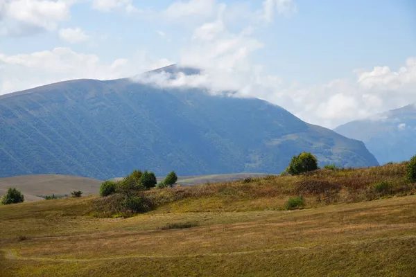 Αλπικό Τοπίο Λιβαδιών Και Βουνών Καυκάσου Στην Τσετσενία Ρωσία Περιφέρεια Εικόνα Αρχείου