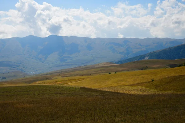 Pradera Alpina Del Cáucaso Paisaje Montañas Chechenia Rusia Vedeno Distrito — Foto de Stock