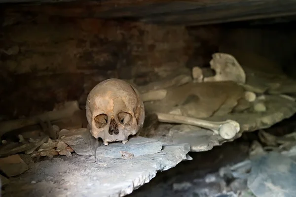 Calaveras Humanas Necrópolis Tsoy Pede Choi Pede Abandonado Antiguo Entierro Imagen de archivo