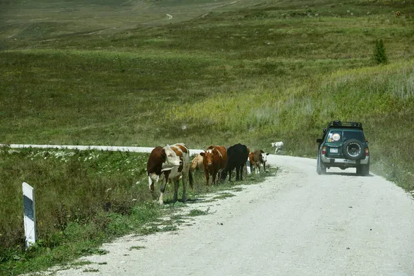 Chechnya Russia Sept 2021 Road Car Shown Caucasus Mountains Vedeno — Stock Photo, Image