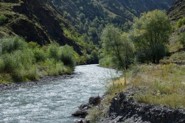 Kafkasya dağlarındaki Argun nehri. Çeçenistan. Rusya