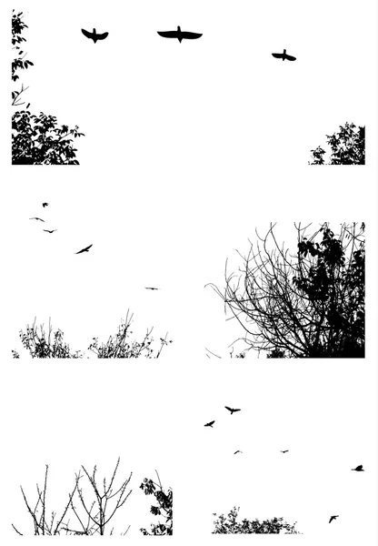 Силуети дерев і літаючих птахів — стоковий вектор