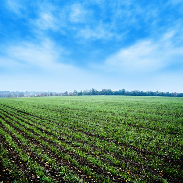 Lente landschap — Stockfoto