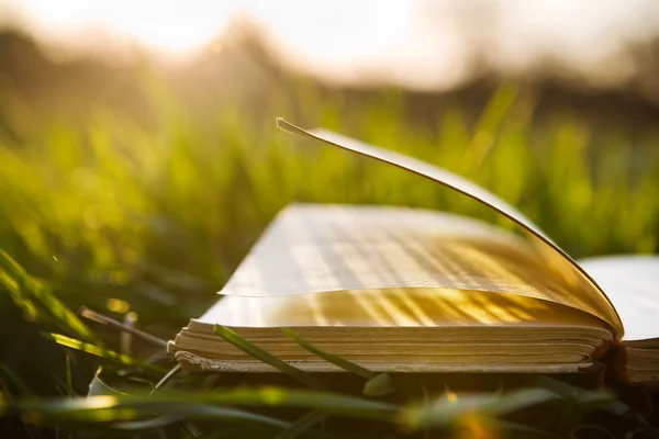 Verão backgound com livro aberto — Fotografia de Stock