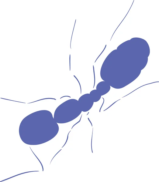 Modré mravenec — Stockový vektor