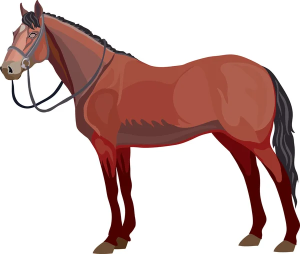 Άλογο — Διανυσματικό Αρχείο