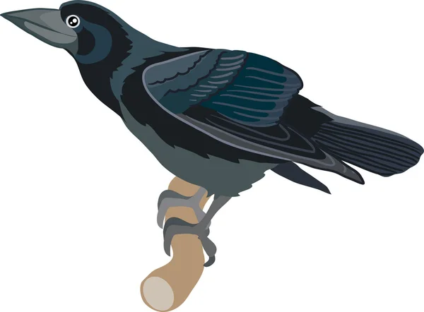 Oiseau de tour — Image vectorielle