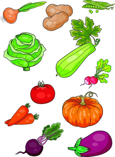 Conjunto de verduras — Vector de stock