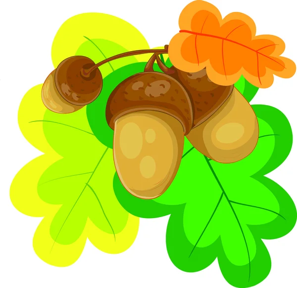 Composition of acorns — Stock Vector