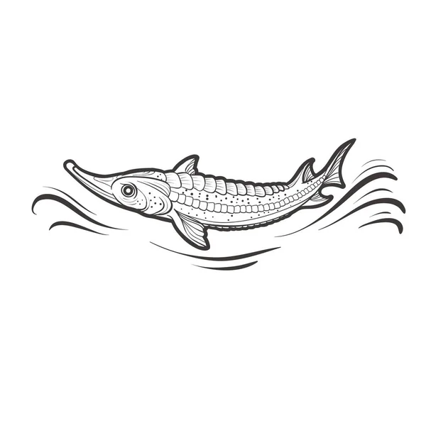 Logo Stylizowane Ryby Szczupak Kolorze Czarnym Pojedynczy Obiekt Białym Tle — Wektor stockowy