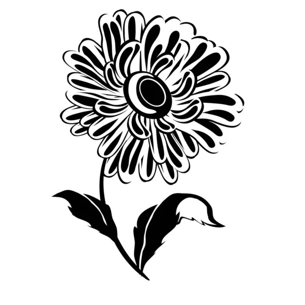 Logo Stylized Chamomile Flower Black Color Isolated Object White Background — Vettoriale Stock