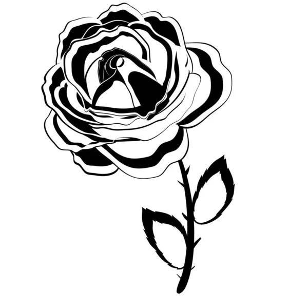 Logo Fiore Rosa Stilizzato Colore Nero Oggetto Isolato Sfondo Bianco — Vettoriale Stock