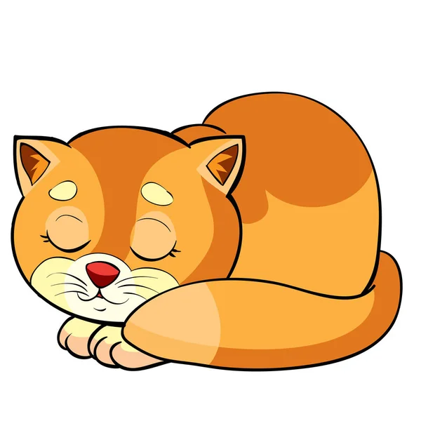 Cute Red Cat Character Sleeping Curled Cartoon Illustration Isolated Object —  Vetores de Stock