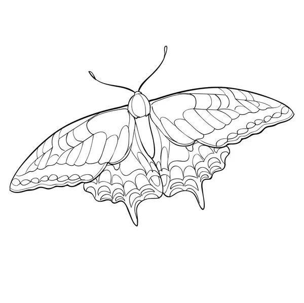 Sketch Butterfly Black Color Different Patterns Coloring Book Isolated Object — Vector de stock