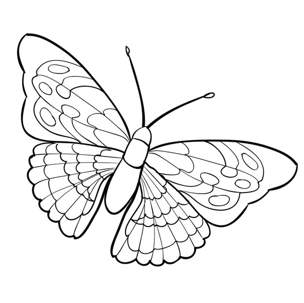 Sketch Butterfly Black Color Different Patterns Coloring Book Isolated Object — Vettoriale Stock