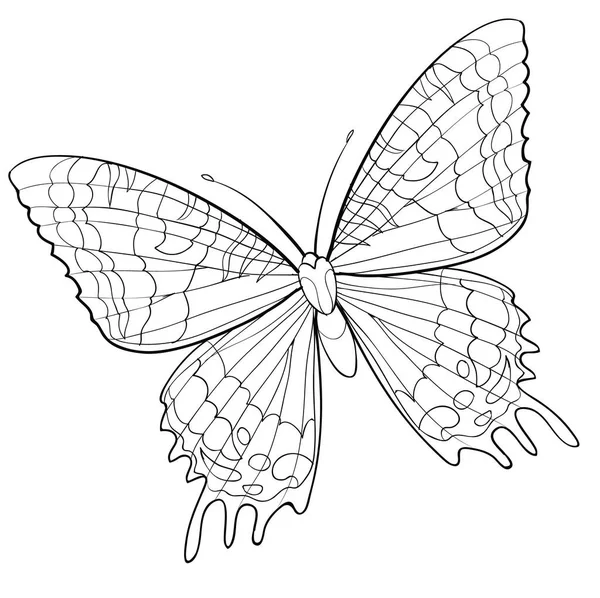 Sketch Butterfly Black Color Different Patterns Coloring Book Isolated Object — Archivo Imágenes Vectoriales