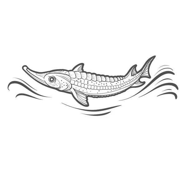 Логотип Рыба Похожая Щуку Плавает Воде Изолированный Объект Белом Фоне — стоковый вектор