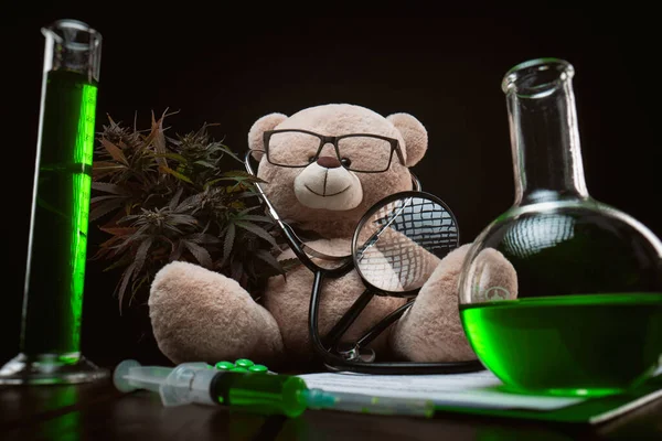 Konopná rostlina pro lékařské účely a výzkum, kreativní složení s medvídkem — Stock fotografie