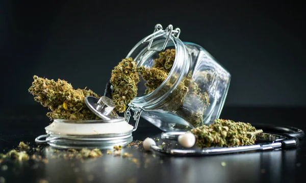 Investigación y uso legal de plantas de cannabis con fines médicos para tratar enfermedades con remedios naturales — Foto de Stock
