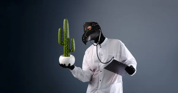 Ένας γιατρός με ρόμπα, φορώντας μάσκα γιατρού πανούκλας με έναν κάκτο στα χέρια του. — Φωτογραφία Αρχείου