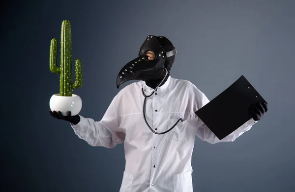 Lekarz w szlafroku, w masce lekarskiej z kaktusem w rękach — Zdjęcie stockowe