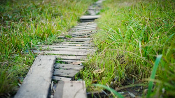Vecchio sentiero in legno attraverso l'erba — Foto Stock