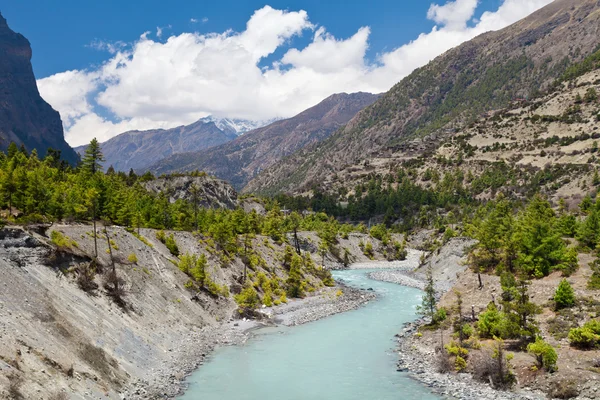 Beautiful landscape in Himalayas — Stock Photo, Image