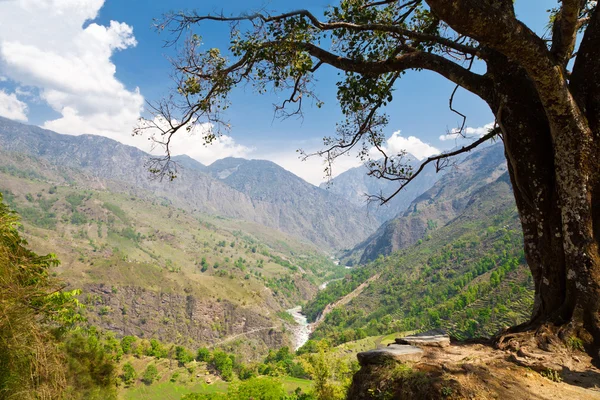 Красивий краєвид в Гімалаях — стокове фото