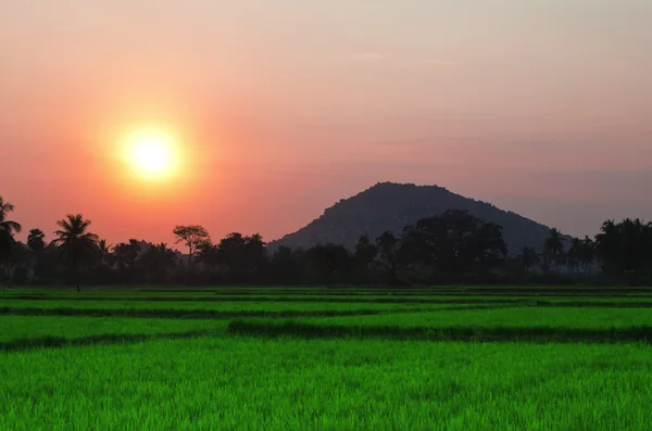 Beauty red sunset — Stock Photo, Image