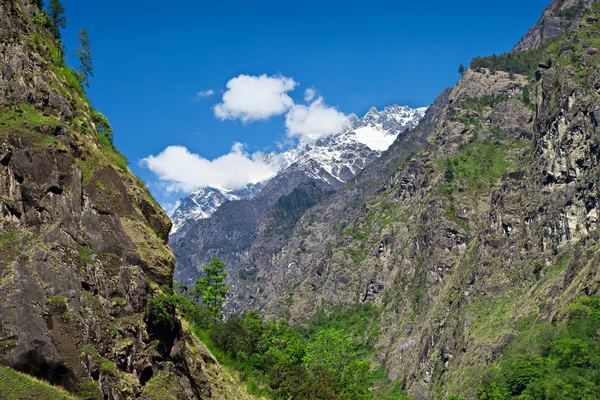 Hermoso paisaje en Himalaya — Foto de Stock