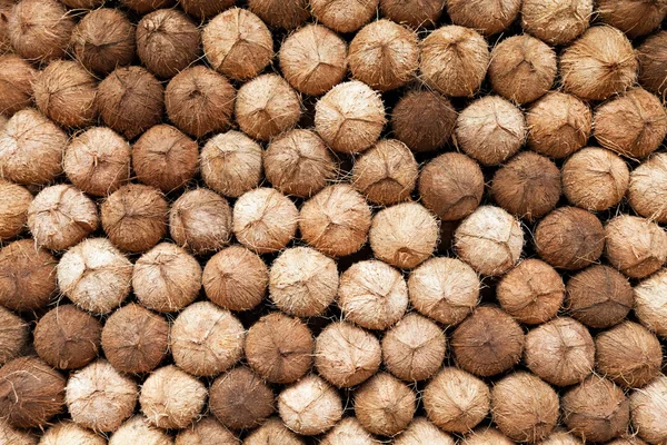 Coconuts heap — Stock Photo, Image