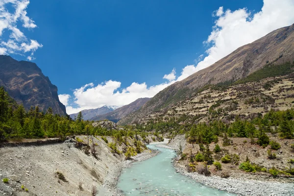 Beautiful landscape in Himalayas Stock Photo