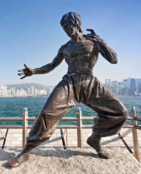Bruce Lee Heykeli — Stok fotoğraf