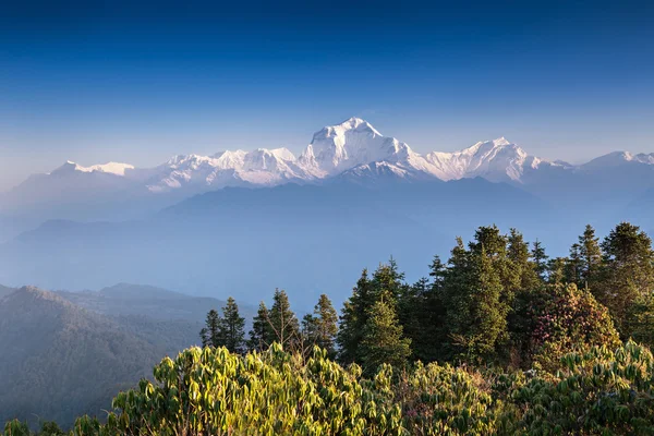 Panorama över himalaya bergen — Stockfoto