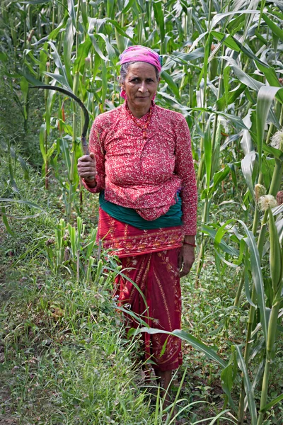 Nepal çiftçisi — Stok fotoğraf