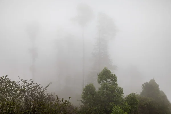 Niebla profunda — Foto de Stock