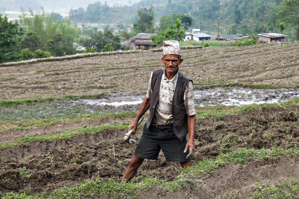 ネパールの農夫 — ストック写真