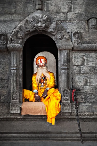 Sádhu na chrám pashupatinath — Stock fotografie