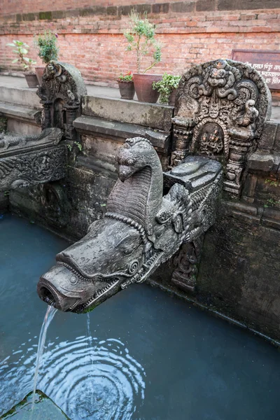 Fonte de dragão — Fotografia de Stock