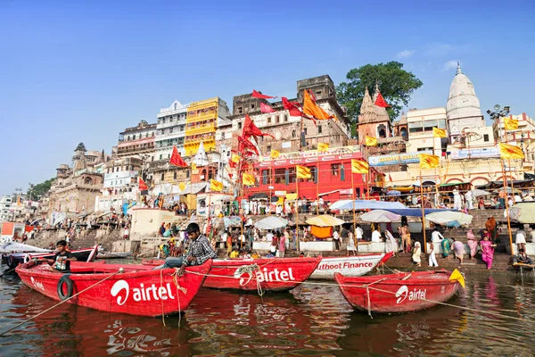 Gatos de varanasi — Fotografia de Stock