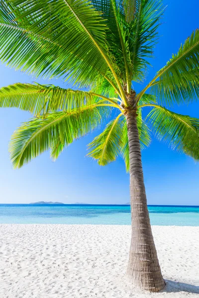 Playa de belleza — Foto de Stock