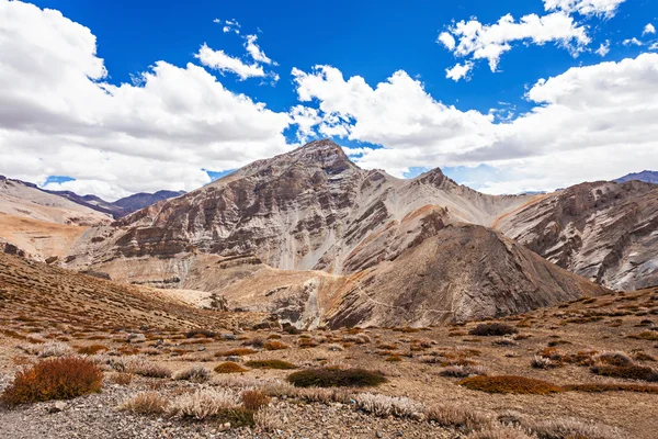 Himalayalar peyzaj — Stok fotoğraf