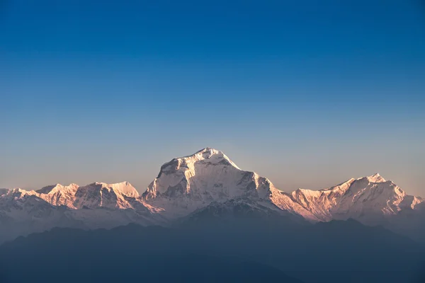 Dhaulagiri mountain on sunrise — Stock Photo, Image