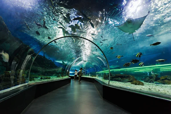 Onderwater tunnel — Stockfoto