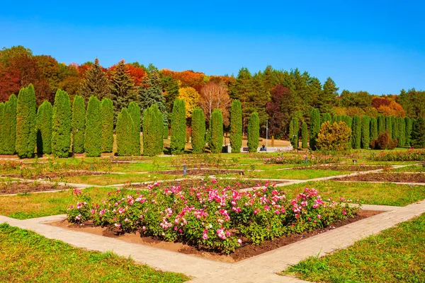 Jardín Rosas Parque Nacional Kislovodsk Ciudad Kislovodsk Rusia — Foto de Stock