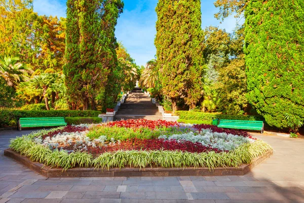 Sochi Arboretum Πάρκο Είναι Μια Μοναδική Συλλογή Από Υποτροπική Χλωρίδα — Φωτογραφία Αρχείου