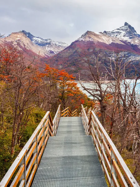 Tourist route near the Perito Moreno Glacier in Patagonia, Argentina. Its one of the most important tourist attractions in the Argentinian Patagonia.