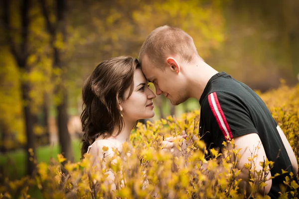 Retrato de una pareja enamorada en el fondo de otoño — Foto de Stock